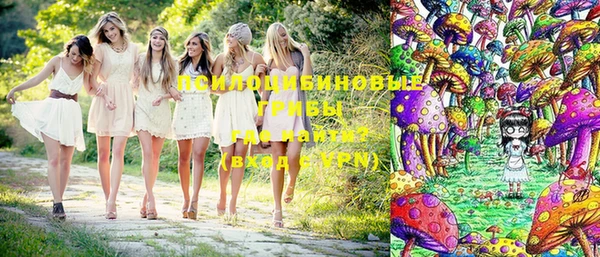 ГАЛЛЮЦИНОГЕННЫЕ ГРИБЫ Алзамай