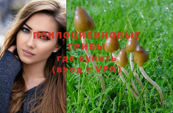 ГАЛЛЮЦИНОГЕННЫЕ ГРИБЫ Алзамай