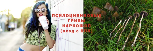 a pvp Арсеньев