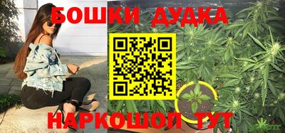 МДПВ Лесосибирск
