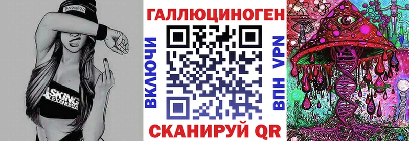 где продают наркотики MEGA ссылка Псилоцибиновые грибы Psilocybe Гуково