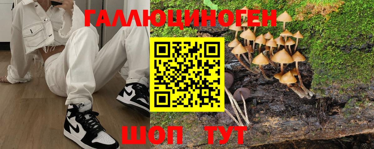Галлюциногенные грибы прущие грибы  Вход с VPN  Гуково  Галлюциногенные грибы прущие грибы 