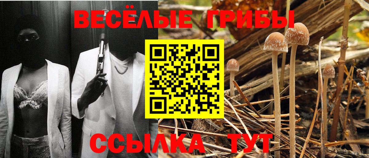 Галлюциногенные грибы мицелий Гуково